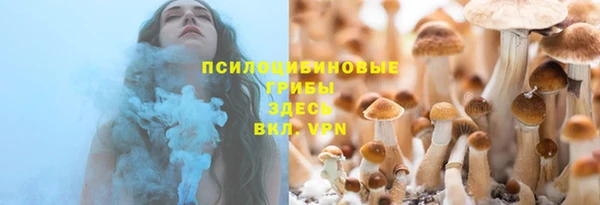 МДПВ Аркадак