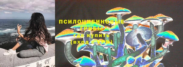 МДПВ Аркадак