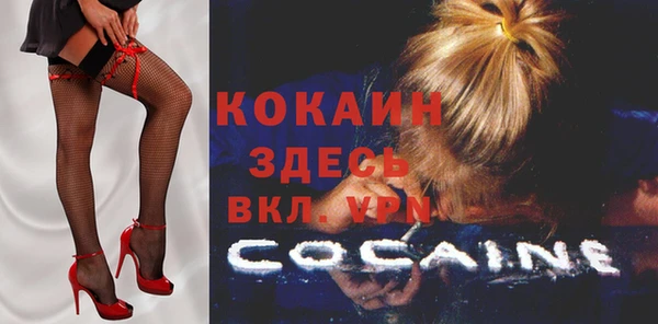 крисы Липки