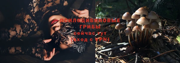 а пвп мука Домодедово